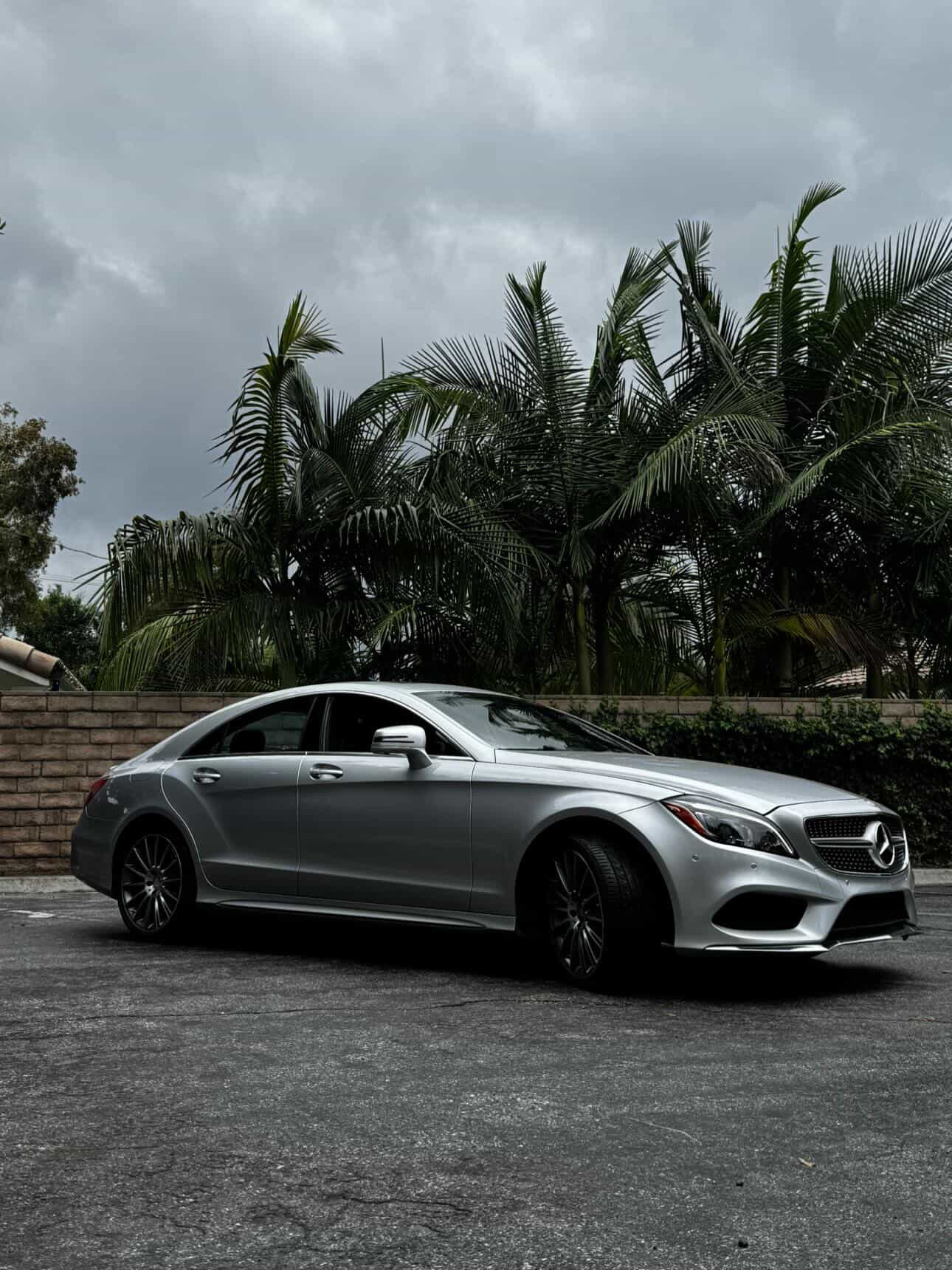 550cal Mercedes build